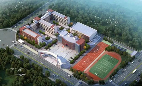 �����е�ʮ��Сѧ��������Ŀ����