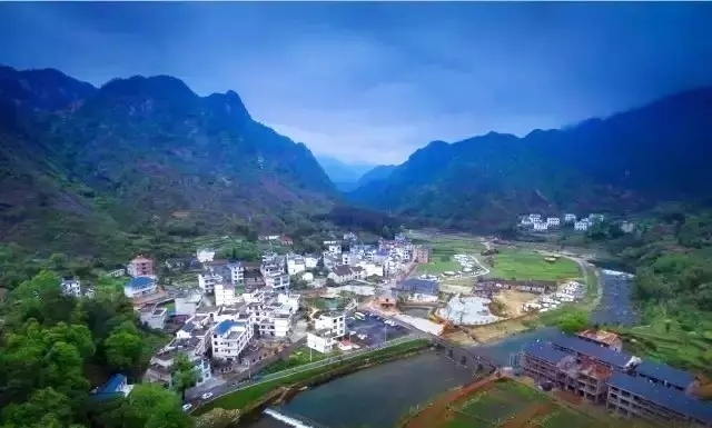 ���ɹȾ��۸����������̼�������